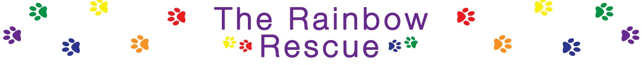 The Rainbow Rescue